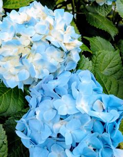 ��؂ȓ�������2024.06.15�̃T���l�C���摜