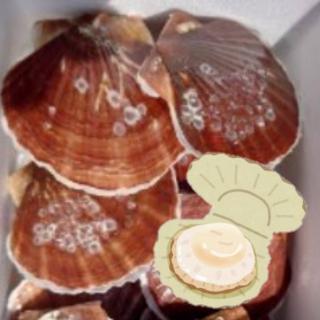 �z�^�e��s����q�ɑ����Ă݂��Ƃ���̃T���l�C���摜