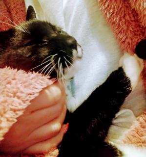 �L�]�Ƃ́H�̃T���l�C���摜