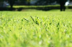 �����e�q���ނ���̃T���l�C���摜