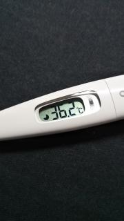 �����I�̃T���l�C���摜