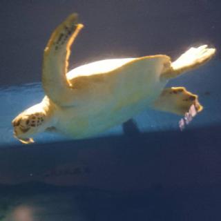 �ׂ��b���ŏH�̋��^�A�b�v���̃T���l�C���摜