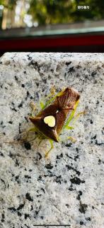 [�J�^]�K�^���ĂԌ����A�Ȃނ��̃T���l�C���摜