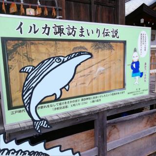 �C���J�A�Q�q�`���I�@�z�K�_�Ђ̃T���l�C���摜