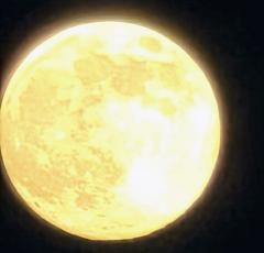 ��l���J�P���̃T���l�C���摜