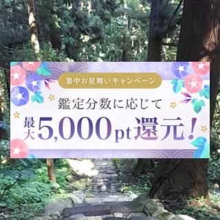 �������������\���グ�܂��B�̃T���l�C���摜