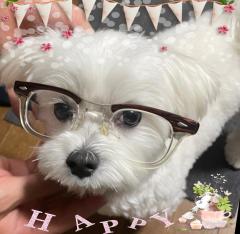 �ꗱ���{�̓��Ƃ��Ȃ��̃��b�L�[�f�[�̃T���l�C���摜