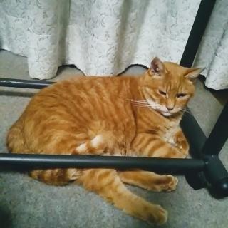 ���ƂɂĂR�@�t�@�b�V�����`�F�b�N��̃T���l�C���摜