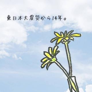 ������3��11���̃T���l�C���摜