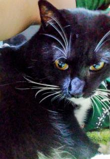 9���̏I���ɂ��Ă����ẴT���l�C���摜