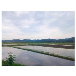 �y�摜����z���c�ɉf��󂪂��ꂢ�̃T���l�C���摜