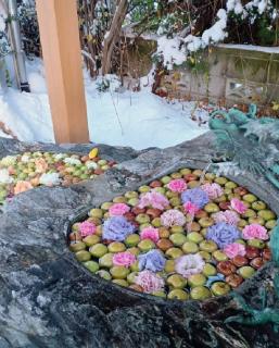 �_�Ђ̉f���X�|�b�g�h�Ԏ萅�h�̃T���l�C���摜