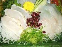 �t�O�̂��h�g�̃T���l�C���摜