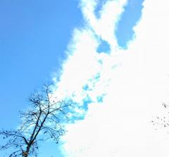 ���ꐯ�̃T���l�C���摜