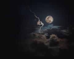 [��]]���N�Ō�̑���n�E��]���A�p���[�̃T���l�C���摜