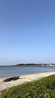 �K�����������Ȃ���̐^���̃T���l�C���摜