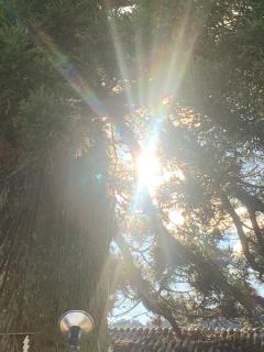 ���������^�C�~���O�I�����̃��b�Z�[�W���̃T���l�C���摜