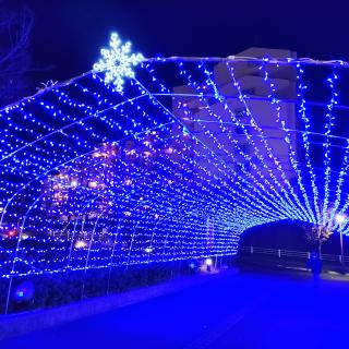 �f�G�ȋG�߂�����ė��܂����˂̃T���l�C���摜