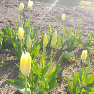 �ꗬ�I���𔲂���ł���@�Ƃ́H�̃T���l�C���摜