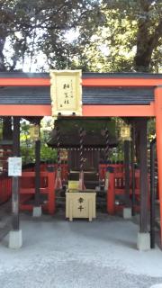 �����ыF��̃T���l�C���摜