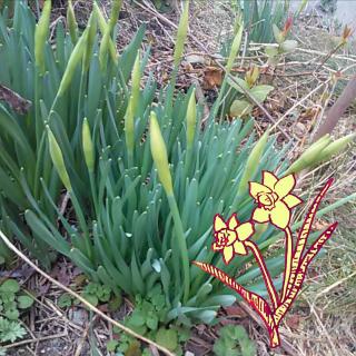 ���������C�ɂ��邠�܂�̃T���l�C���摜