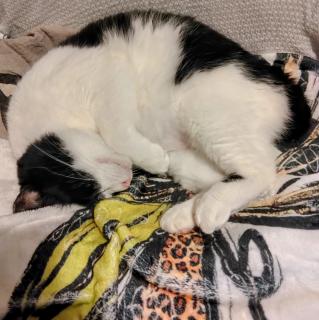 �������邱�Ɓ��̃T���l�C���摜