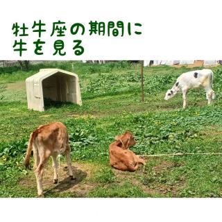 �������ɋ������Ȃ���A�C�X��H�ׂ�̃T���l�C���摜