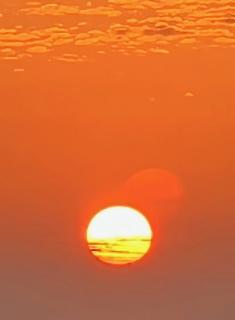 �[���̒��ɗ[�Ă����I�̃T���l�C���摜