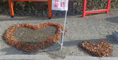 P23@^̃TlC摜