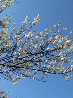 ���߂܂��āI䝔��ł��B�̃T���l�C���摜