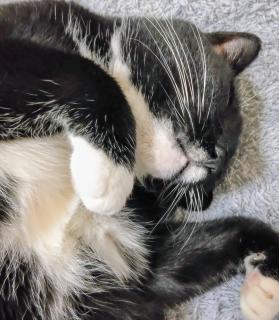 �n�܂肪�n�܂�V�����̃T���l�C���摜