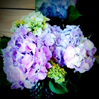 �U��ꂿ��������B�̃T���l�C���摜