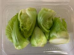 �Q�؂̃T���l�C���摜