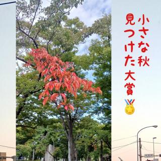 �y �����ȏH�A��������� �z�̃T���l�C���摜