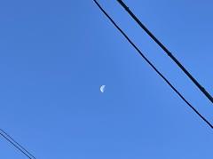 �����Ɩ��p�t.R3.12.27.���̂̃T���l�C���摜