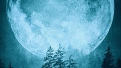 [�V��]�������A�n���^�[�Y���[�����ނ̃T���l�C���摜