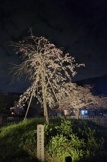 �S��10���@�����^�̃T���l�C���摜