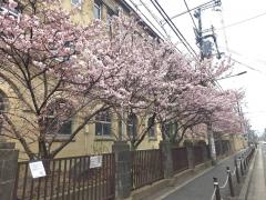 3��9���A10���̉^���̃T���l�C���摜