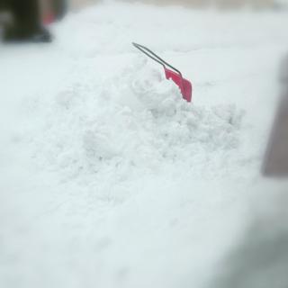 �{���̌ߌ�̍�Ƃ̃T���l�C���摜