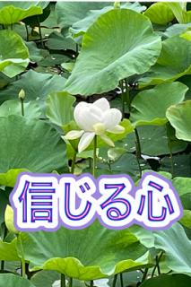 �M����΂����IR4.1.14���̂̃T���l�C���摜