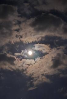 �X��26���@�^���̃T���l�C���摜