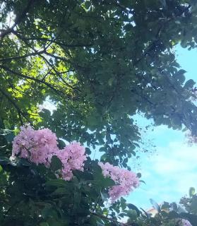 ���~�̏o�����̃T���l�C���摜