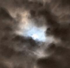 �Èł̒��ɗD���������̃T���l�C���摜