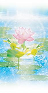 �_�l����̃��b�Z�[�W�̃T���l�C���摜