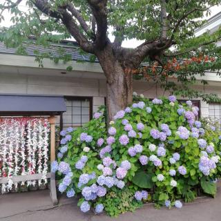 �V�������K�u�Čw�v�Ƃ́H �̃T���l�C���摜