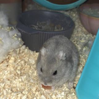 �U��5���A6���̉^���̃T���l�C���摜