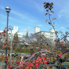 �ÒÌy�̋S�R�J�[�h�W�߃X�^�[�g�I�̃T���l�C���摜