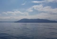 �F�l�̃T���l�C���摜