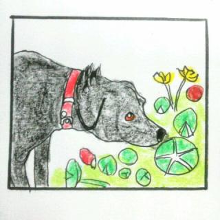 ��؂ȃp�[�g�i�[�Ƃ��Ẵy�b�g�̃T���l�C���摜