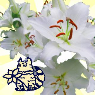 7���������ŏI���̃T���l�C���摜